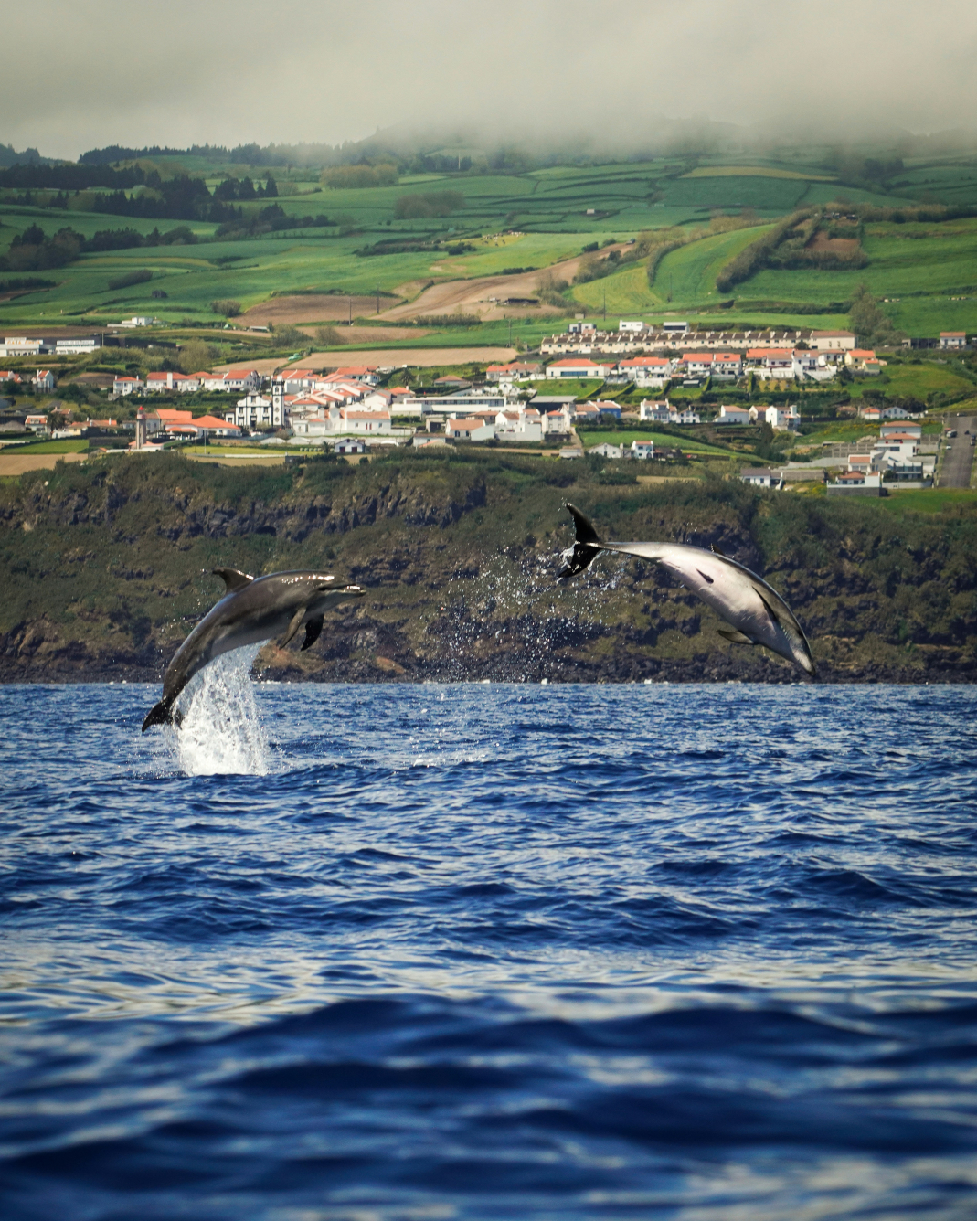 Açores
